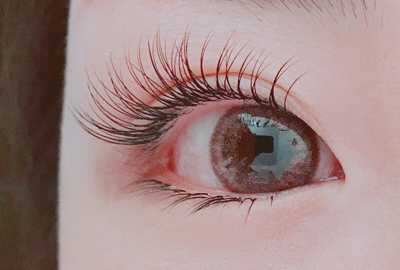 【オフ別】国産フラットラッシュ　120本　トリートメント込み