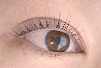 【オフ別】国産フラットラッシュ　100本　トリートメント込み